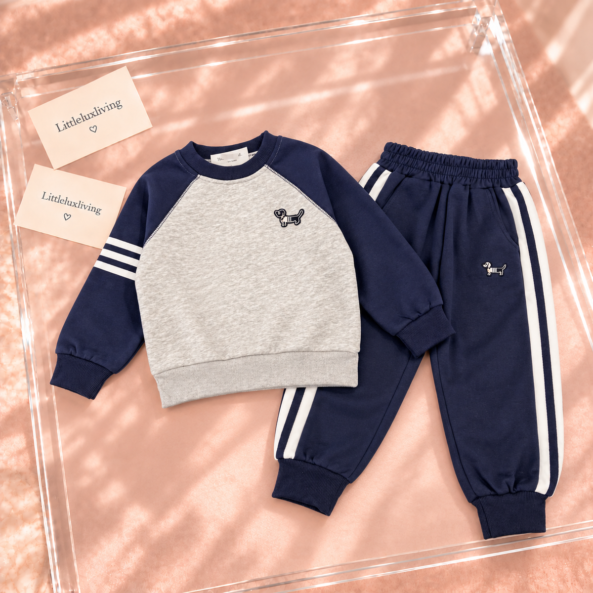 Grey & Navy Puppy Sweatshirt & Jogger Set